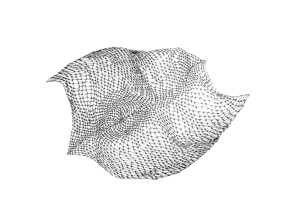 Marlen-Melzow_Netz_05