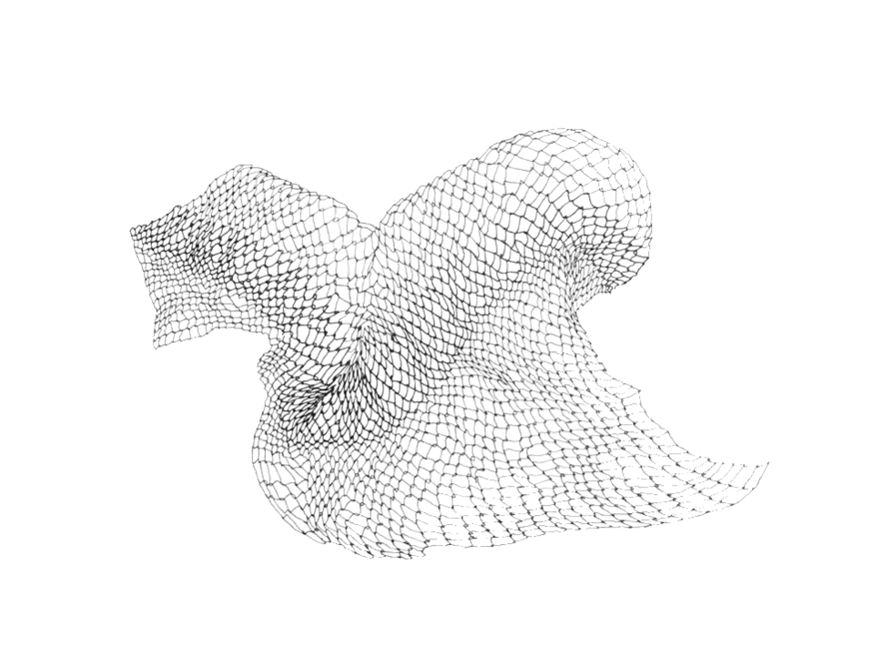 Marlen-Melzow_Netz_06