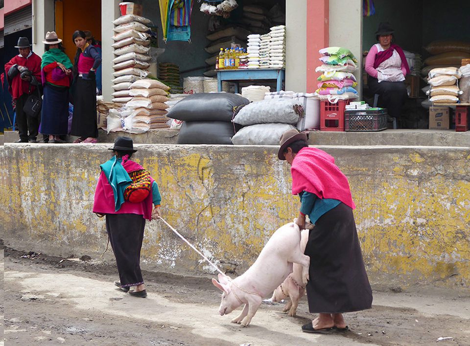 Markt_Ecuador_Marlen_Melzow_11
