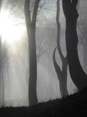 Ruegen_Marlen_Melzow_130