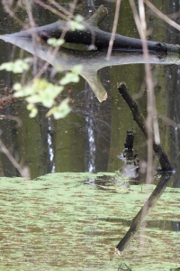 marlenmelzow_spiegelung_3