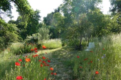 Garten im Mai | Joachimsthal 2025